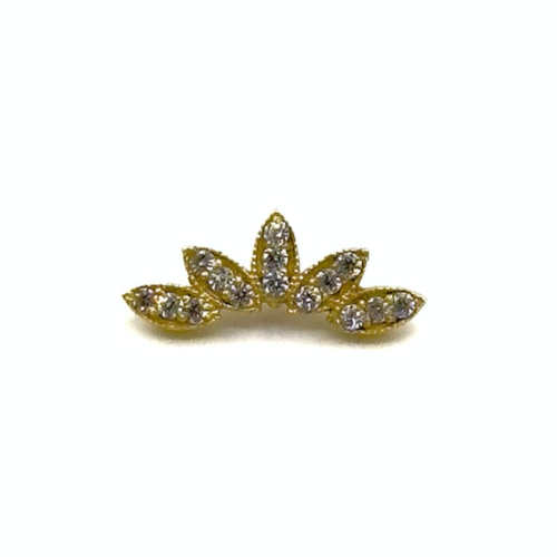 Grupo cinco Marquesa 14k
