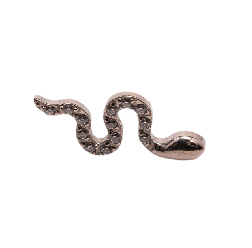 Serpiente Circonitas