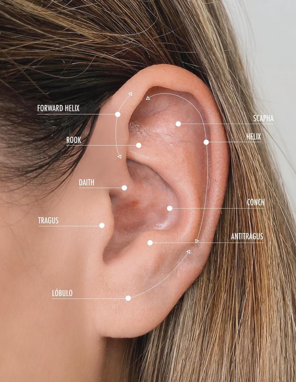 PIN DE EMPUJE DE PVD PARA LABRET