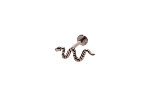 Disco de serpiente 