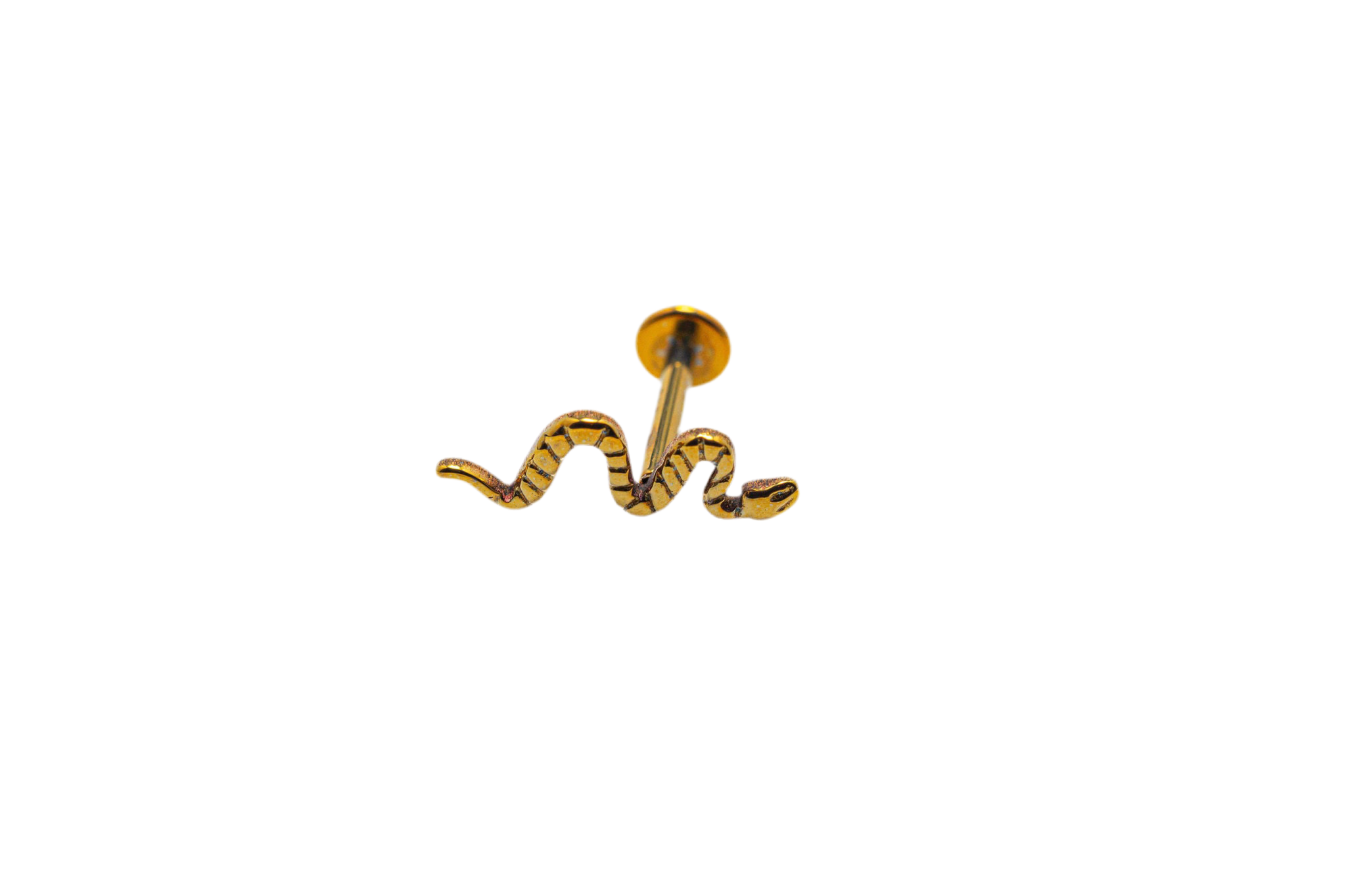 Disco de serpiente 