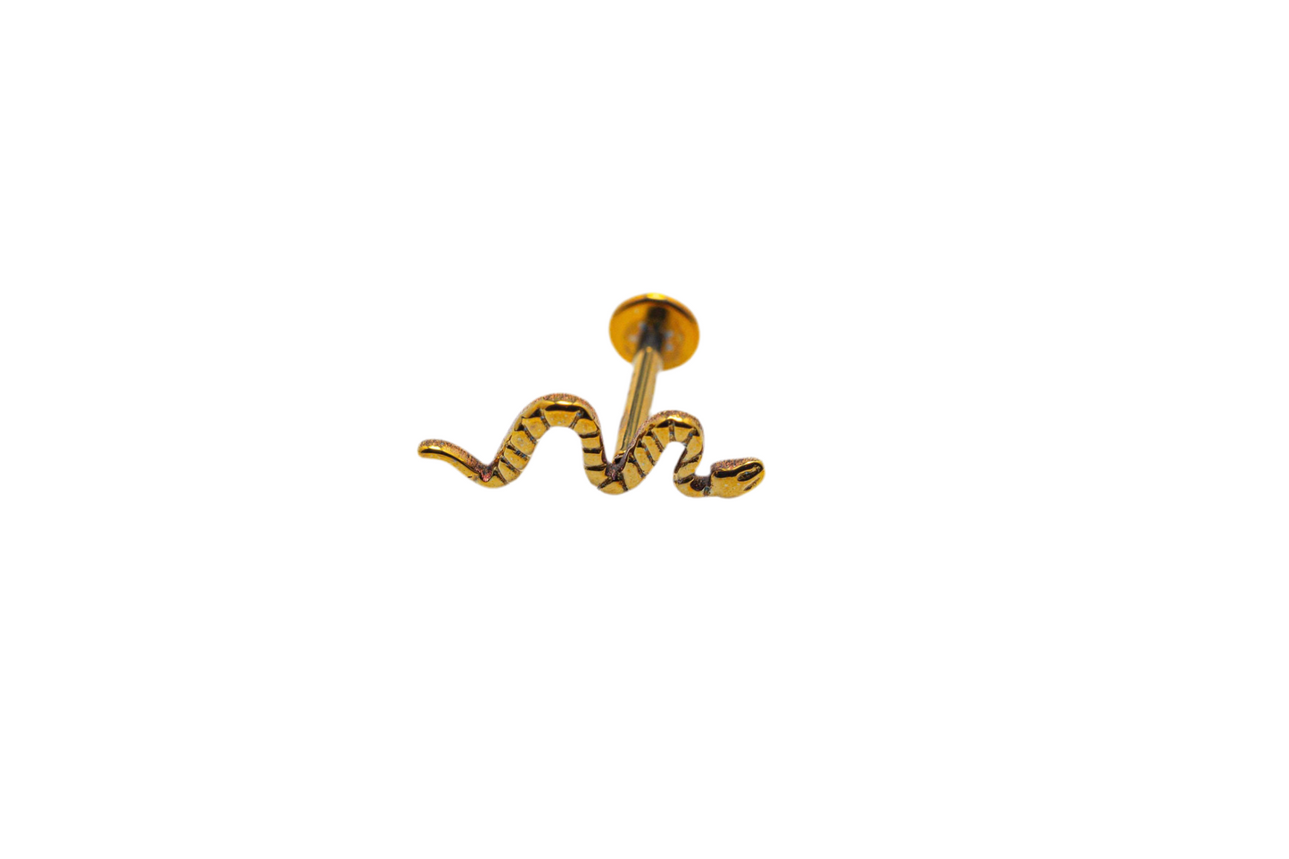 Disco de serpiente 