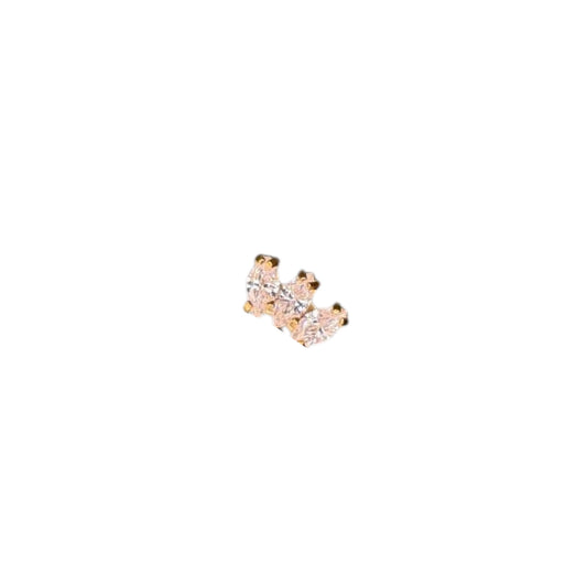 Micro marquesa