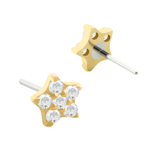 Star Zirconia Pin Push 14k Solid Gold